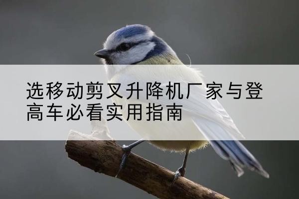 平舆电动升降机厂家-选移动剪叉升降机厂家与登高车必看实用指南