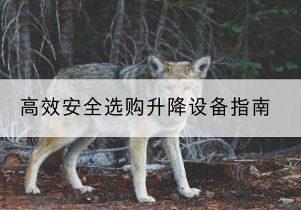 平舆升降货梯厂家推荐-*安全选购升降设备指南